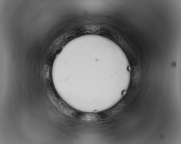 X0000114990758200911231141