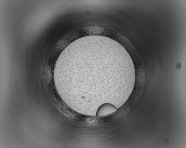 X0000114990761200911231141