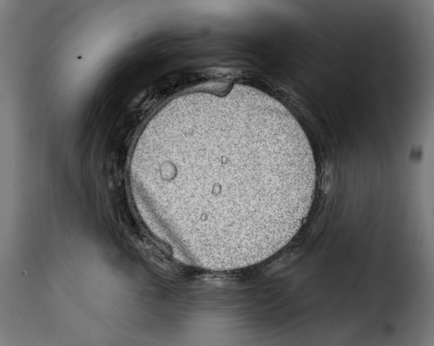 X0000114990763200911231141