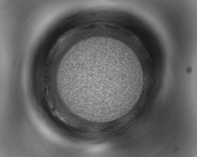 X0000114990765200911231141