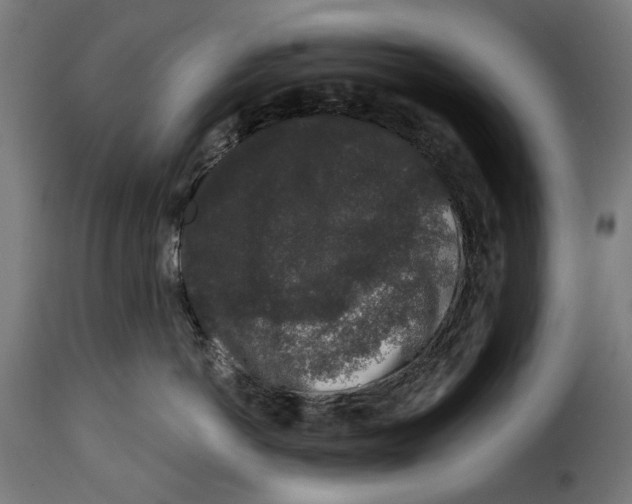 X0000114990766200911231141