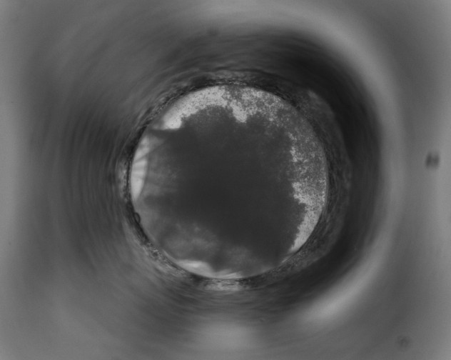 X0000114990767200911231141