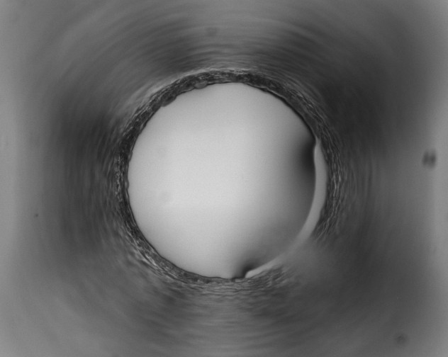 X0000114990773200911231141