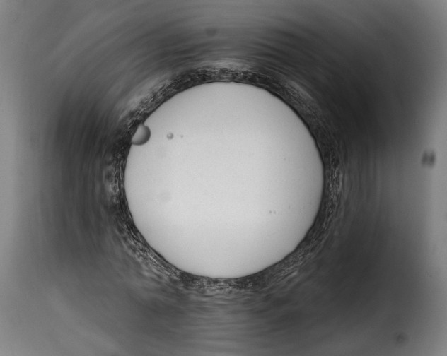 X0000114990774200911231141