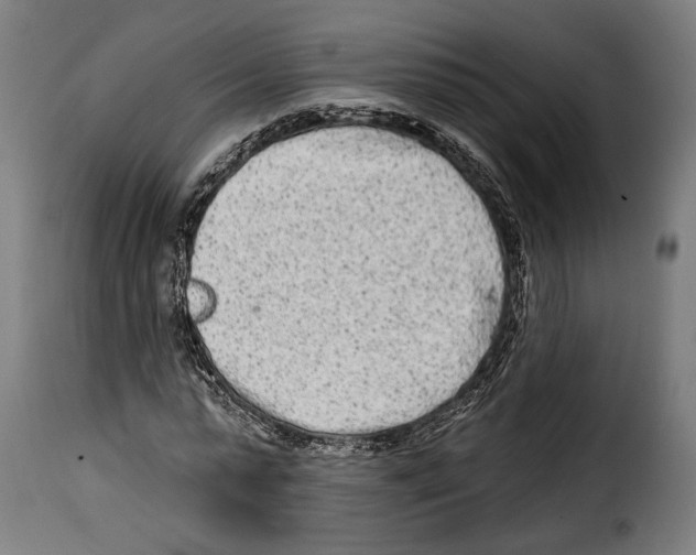 X0000114990775200911231141