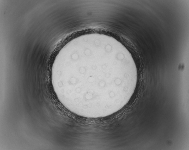 X0000114990776200911231141