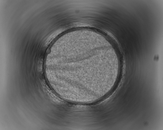 X0000114990777200911231141