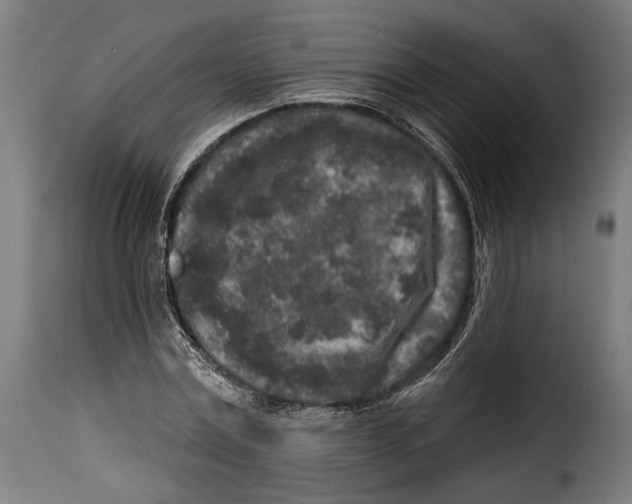 X0000114990779200911231140