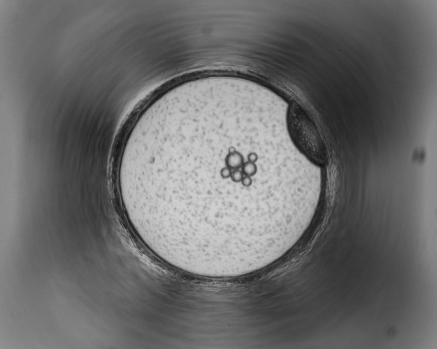 X0000114990780200911231140