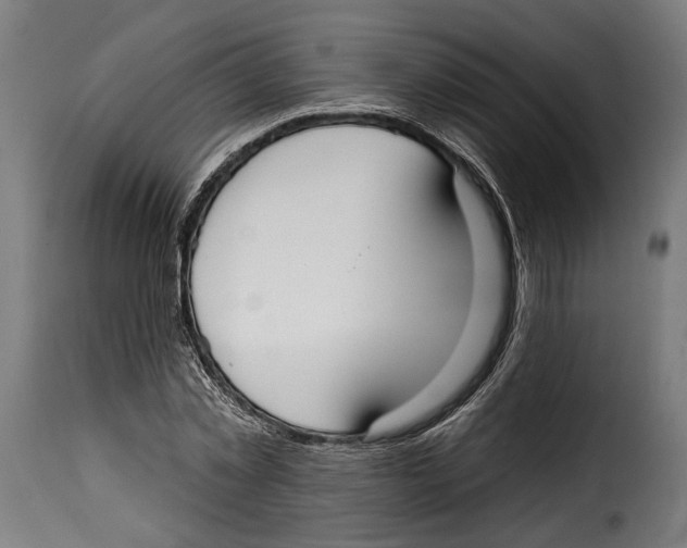 X0000114990781200911231140