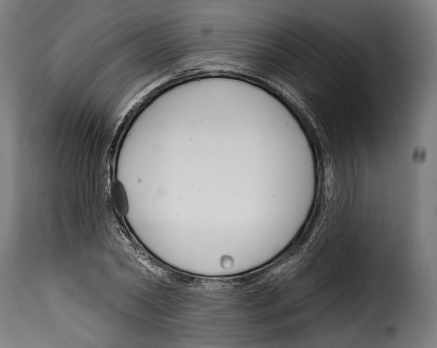 X0000114990782200911231140