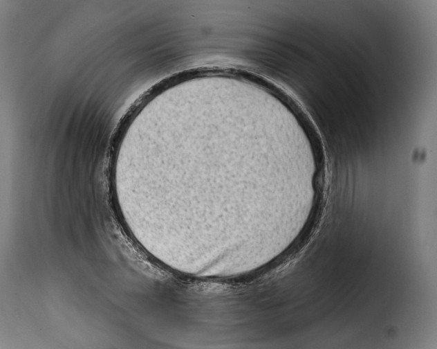 X0000114990783200911231140