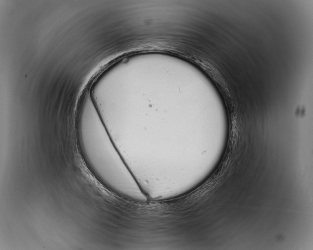 X0000114990784200911231140