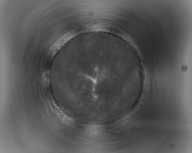 X0000114990785200911231140