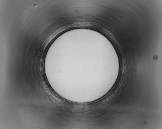 X0000114990786200911231140