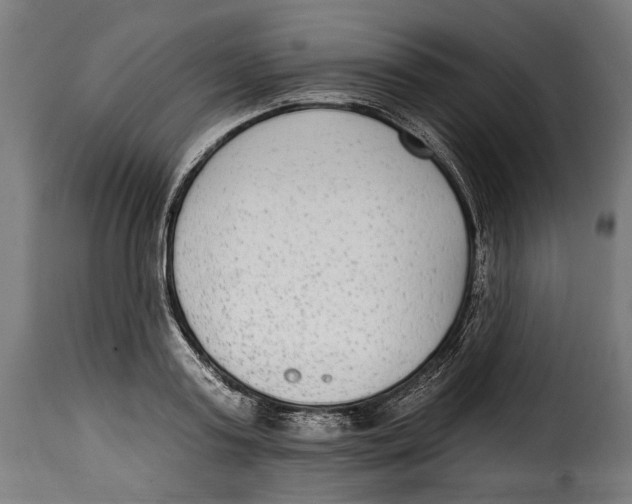 X0000114990795200911231140