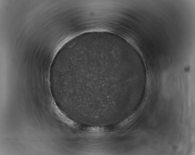 X0000114990797200911231140