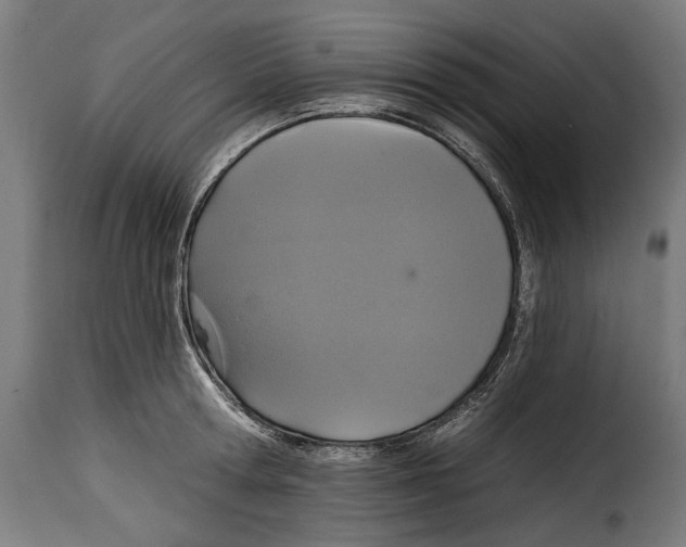 X0000114990802200911231140