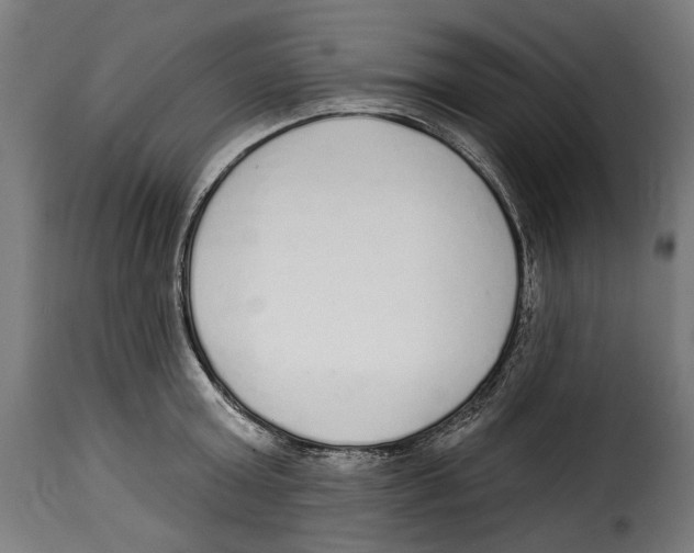 X0000114990803200911231140