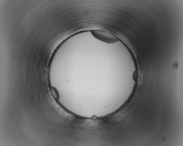 X0000114990805200911231140