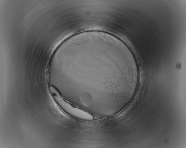 X0000114990806200911231140