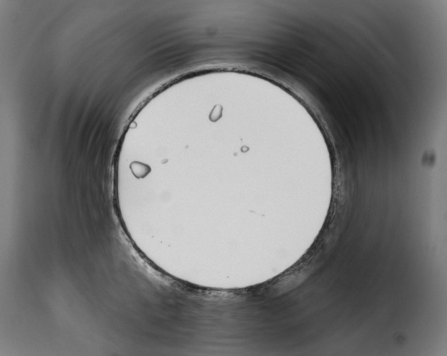 X0000114990807200911231140