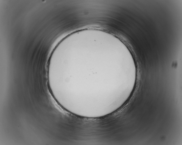 X0000114990808200911231140