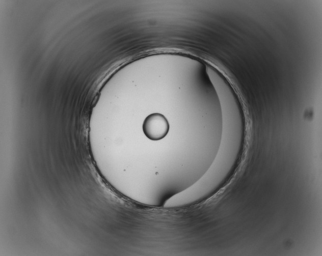 X0000114990809200911231140