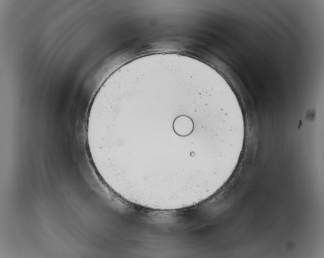 X0000114990810200911231140