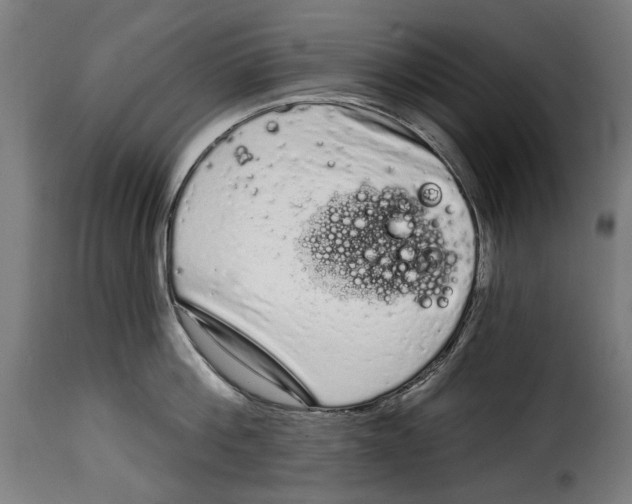 X0000114990812200911231140