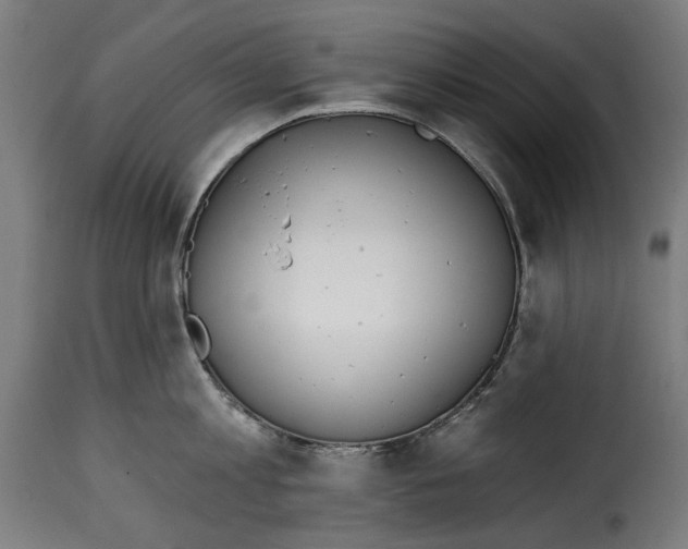 X0000114990813200911231140