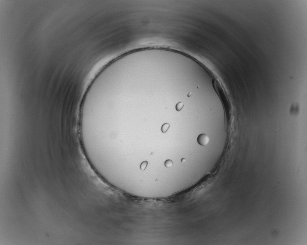 X0000114990815200911231140