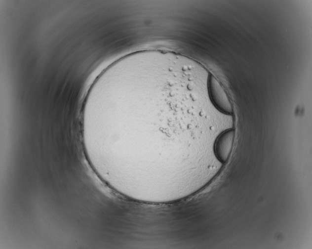 X0000114990816200911231140