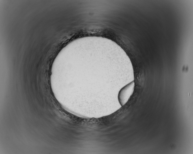 X0000114990817200911231139