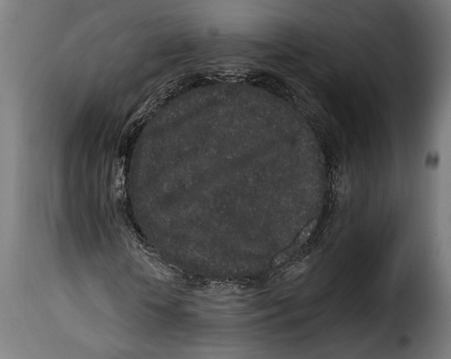 X0000114990818200911231139