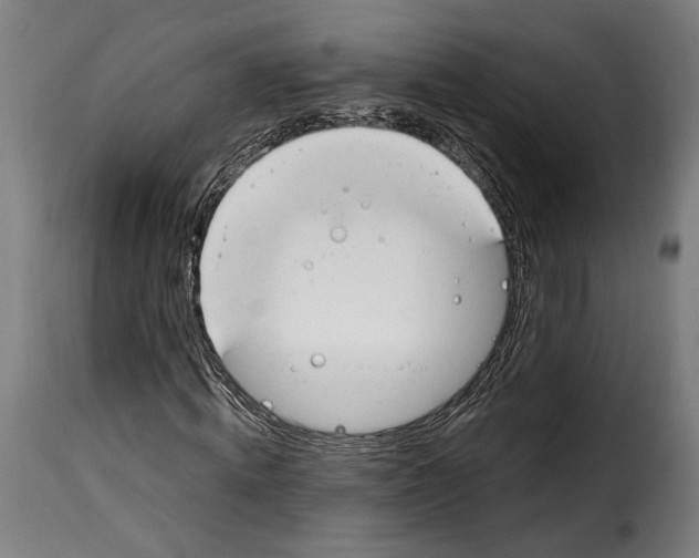 X0000114990820200911231139