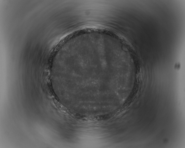 X0000114990822200911231139