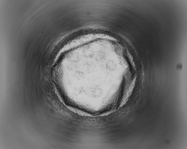 X0000114990823200911231139