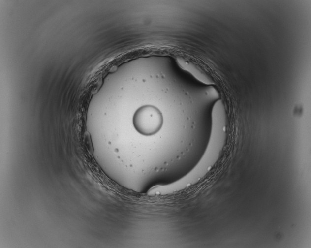 X0000114990824200911231139