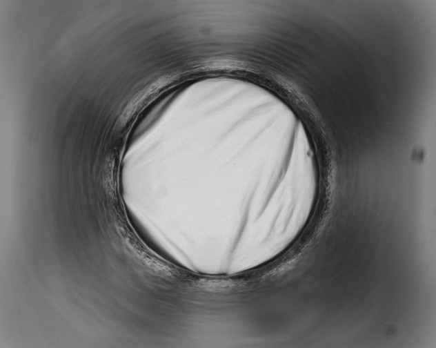 X0000114990825200911231139