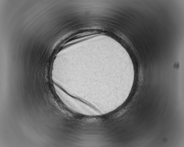 X0000114990826200911231139