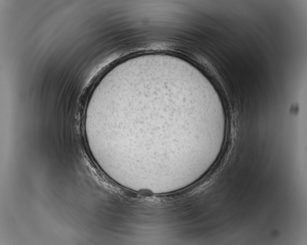 X0000114990827200911231139