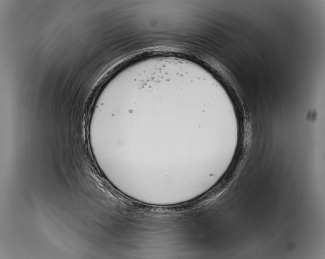 X0000114990829200911231139