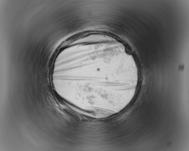 X0000114990830200911231139