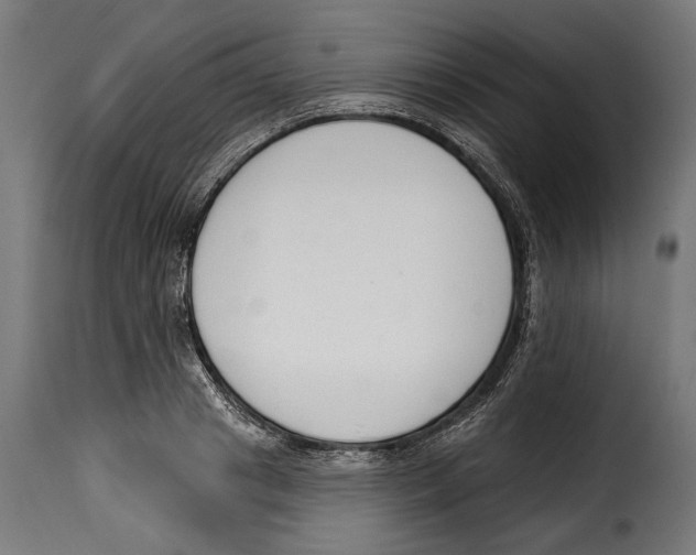 X0000114990841200911231140