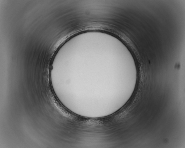 X0000114990842200911231140