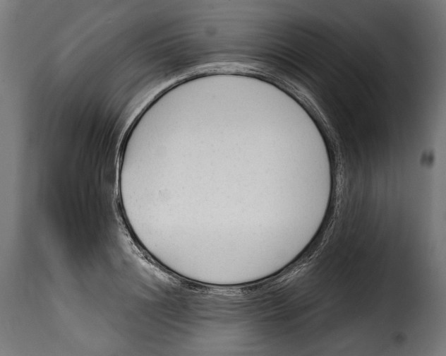 X0000114990844200911231140