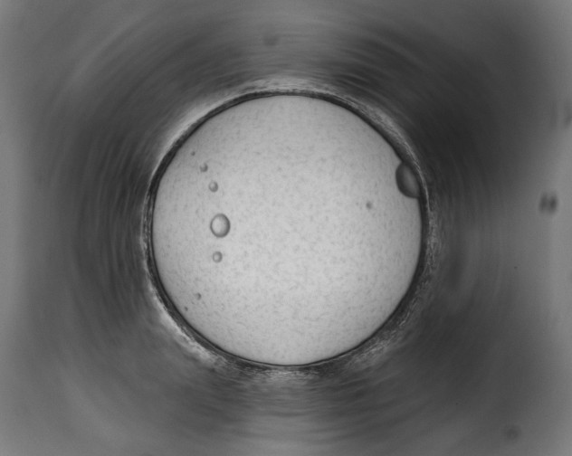 X0000114990847200911231140