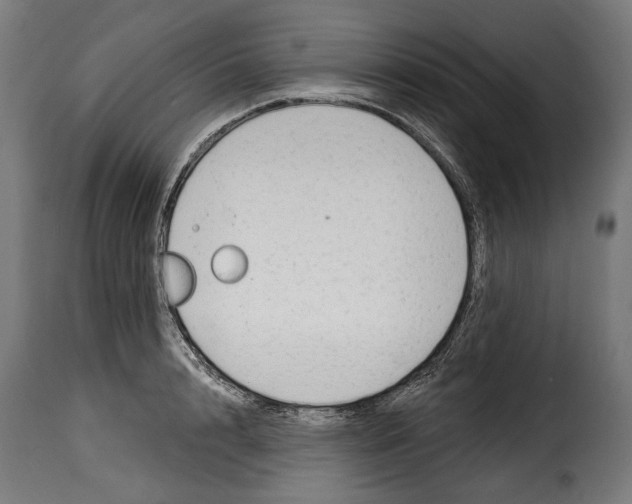 X0000114990848200911231140