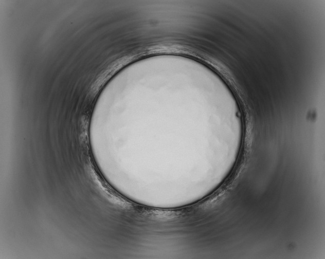 X0000114990849200911231140